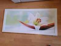 Wandbild weiße Lilie 130cm breit Hessen - Obertshausen Vorschau