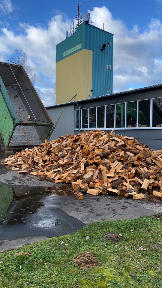 Brennholz BIRKE, Feuerholz, Kaminholz - Bröckel in Bröckel