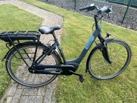 E-Bike Gazelle Paris, 49 er Rahmen, gebraucht Niedersachsen - Upgant-Schott Vorschau