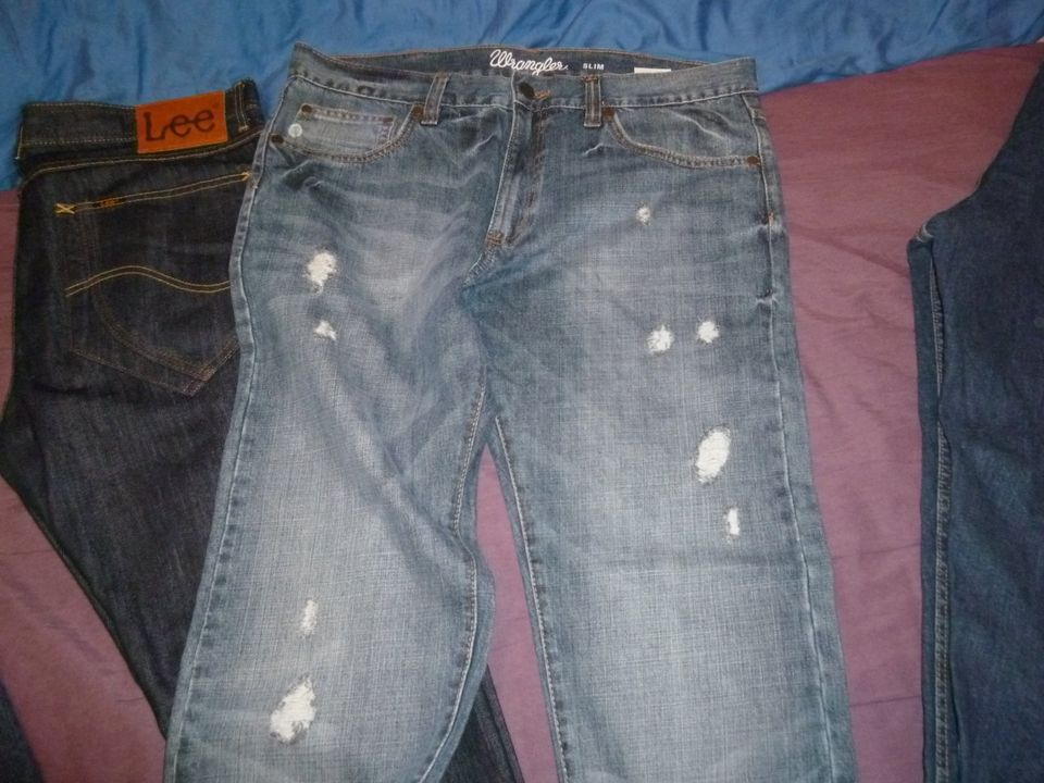 4 Herren Jeans Gr. L, W36xL30, 26, Lee, Wrangler, Levi's in Dülmen