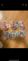 Babydream Schnuller in verschiedenen Größen Nordrhein-Westfalen - Senden Vorschau