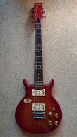 Washburn Raven E-Gitarre Vintage Bayern - Schechen Vorschau