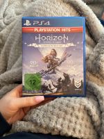 Horizon PlayStation 4 Brandenburg - Ferch Vorschau