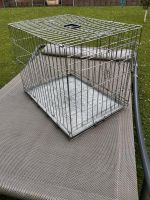 Gitter-/Transportbox für Hunde Nordrhein-Westfalen - Porta Westfalica Vorschau