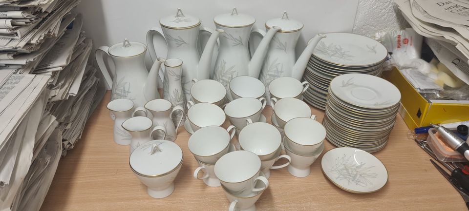 Rosenthal Germany Kaffee Service Porzellan viele Teile zeitlos in Usingen