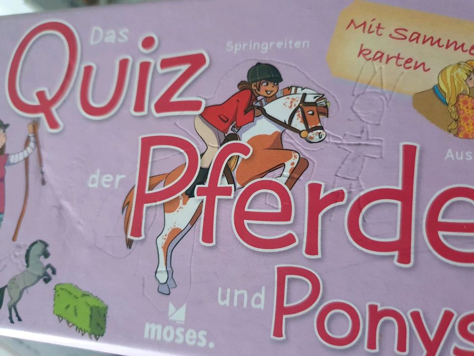 Pferde Quiz in Munster