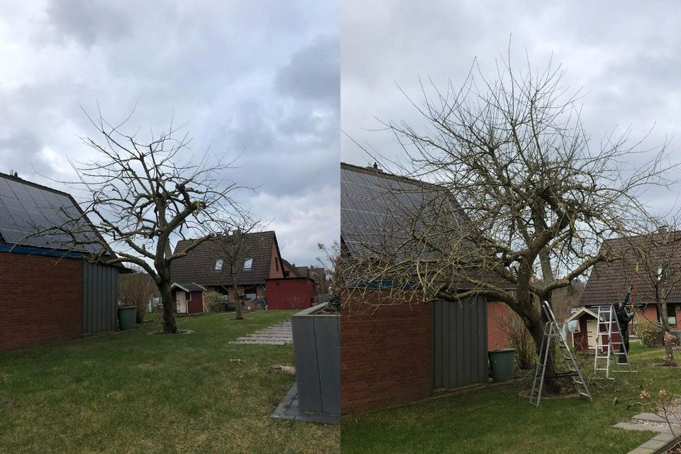 GalaBau Gärtner Gartenservice Steinreinigung Gartenpflege in Neumünster