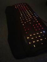 Roccat HORDE AIMO LED-Gaming Tastatur Bayern - Vöhringen Vorschau