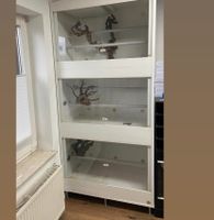 Lanzo Herp Terrarien Turm Terrarium  3x 80x60x60 Heatpanel Nordrhein-Westfalen - Werther (Westfalen) Vorschau