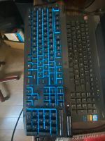 Gaming Tastatur RGB Brandenburg - Schönefeld Vorschau