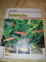 Killifische Dr.Jürgen Schmidt Güstrow - Landkreis - Lalendorf Vorschau