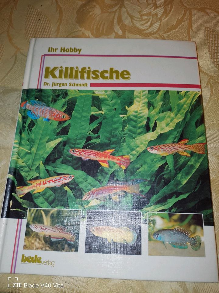 Killifische Dr.Jürgen Schmidt in Lalendorf