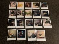 19 Polaroidfotos verschiedene Motive/ Blumen aus 1990-2010 Hessen - Heusenstamm Vorschau