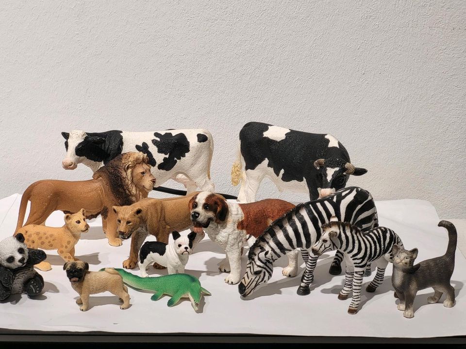 13 Schleich Tiere: Löwen Familie, Zebras Kühe, Hunde usw... in Aachen