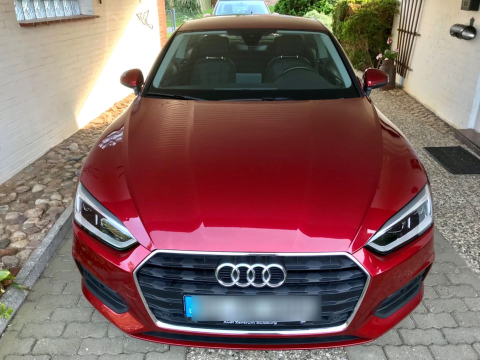AUDI A5 COUPE 190 PS LED EZ 7/2019 GARANTIE 10/2024 TOP ZUSTAND in Sierksrade