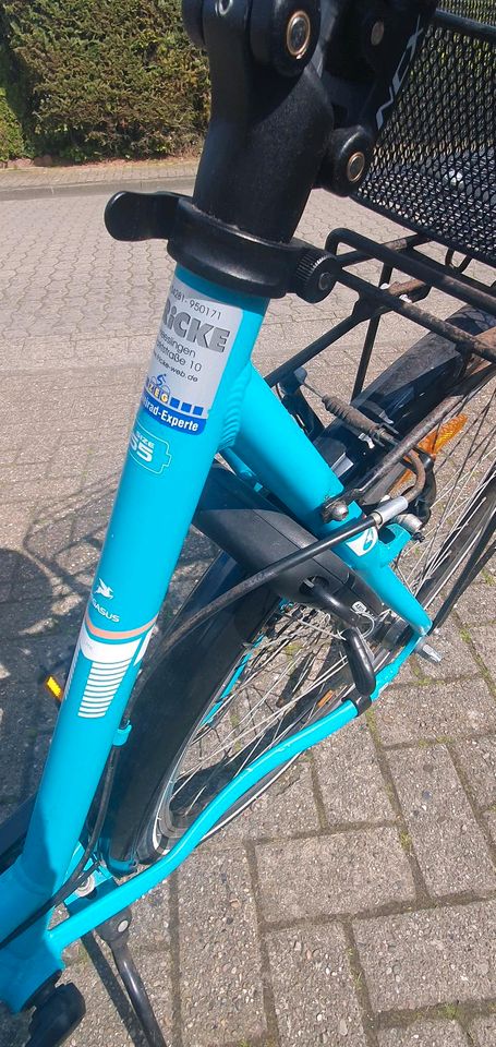 28zoll Damen Fahrrad mit Korb in Delmenhorst