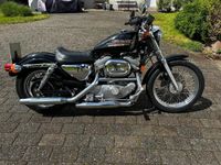 Harley Davidson 883 XL Rheinland-Pfalz - Trassem Vorschau