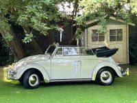 VW Käfer Cabrio Brautauto Hochzeit Nordrhein-Westfalen - Grefrath Vorschau