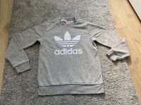 Adidas Pullover Gr. 146 Hessen - Gemünden (Wohra) Vorschau