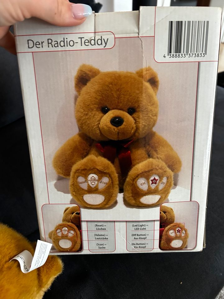Heinzelmann Der Radio Teddy in Steinhagen (Vorpommern)