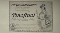 Pinofluol Fichtennadel Kräuter  Anzeige Illustrierte Zeitung 1916 Baden-Württemberg - Leonberg Vorschau