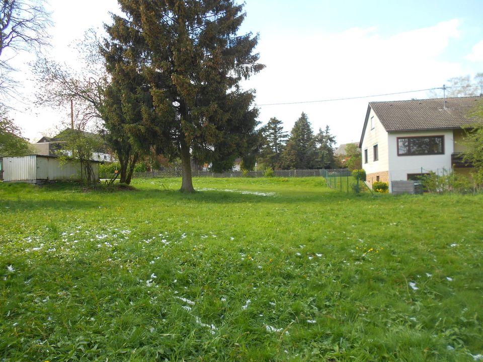 Baugrundstück mit altem Baumbestand in herrlich ruhiger Dorflage in Zell i. Fichtelgebirge