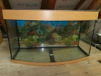 Aquarium mit Unterschrank + Zubehör Baden-Württemberg - Sigmaringen Vorschau