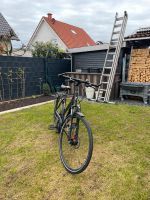 Pegasus Fahrrad Nordrhein-Westfalen - Viersen Vorschau