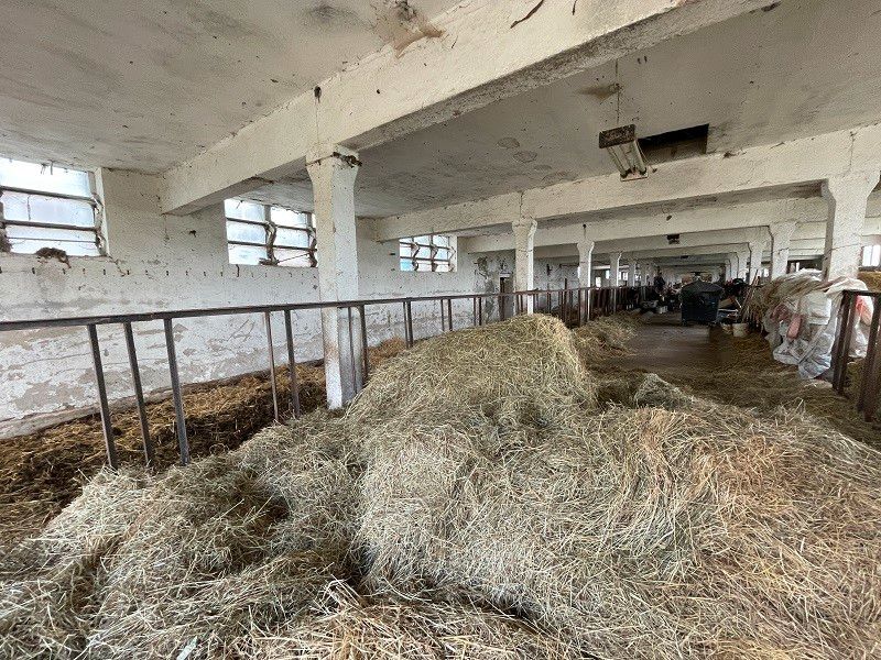 Rund 15.300 m² Fläche und eine einzigartige Aussicht im Luftkurort Tambach-Dietharz in Tambach-Dietharz