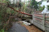 Sturm / Sturmschaden / Baumfällung / Baum Mecklenburg-Vorpommern - Stralsund Vorschau