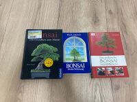 Bonsai Bücher 3 Stück Baden-Württemberg - Hausach Vorschau