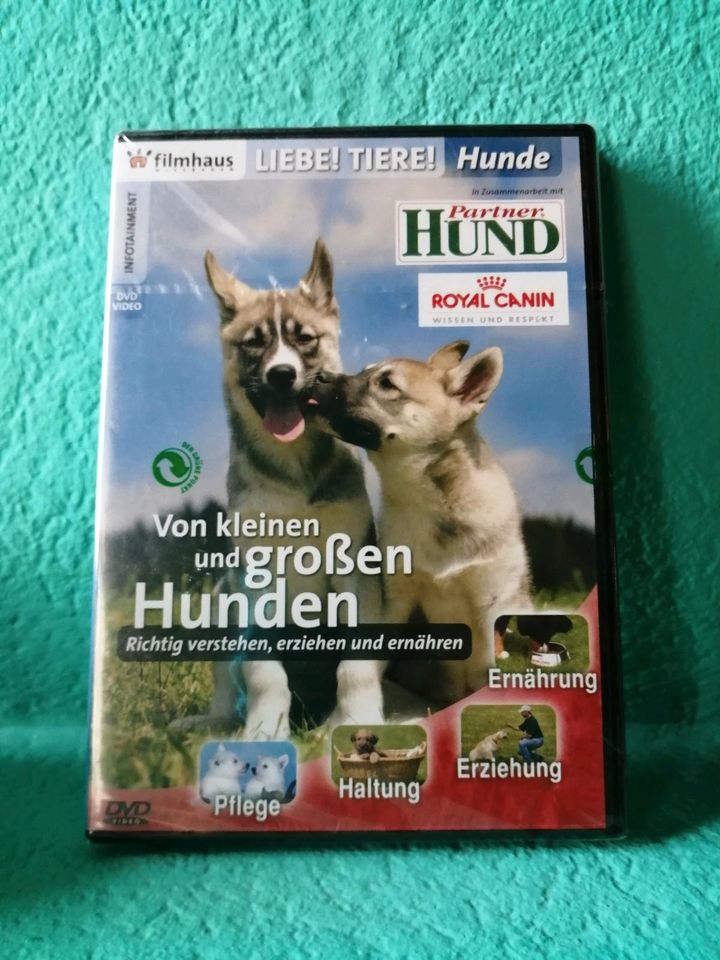 DVD: LIEBE! TIERE! HUNDE - Haltung, Pflege, Erziehung, Ernährung in Osnabrück