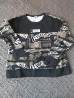 Jungen Pullover von Puma Größe 152 Niedersachsen - Gielde Vorschau