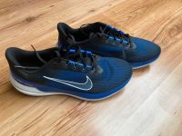 Nike Winflo 09 Running Laufschuh Herren Gr.45,5 Dresden - Tolkewitz Vorschau