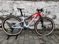 40 % - BMC Fourstroke 01 LTD MTB, Gr. M Hessen - Staufenberg Vorschau