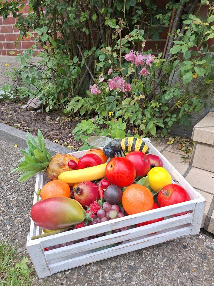 Obstkorb, Dekoobst in Scharnebeck