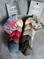 Bambusgarn Wolle Caron x. Pantone Bamboo Stricken und häkeln Hessen - Niederdorfelden Vorschau