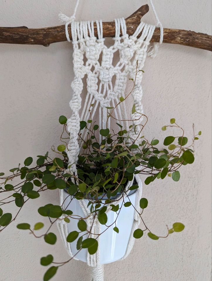 Wand Blumenampel Makramee Boho Handarbeit Wandbehang in Moringen