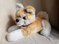 Steiff Akita Junghund, 45 cm, Kuscheltier, unbespielt, Sammeln Düsseldorf - Pempelfort Vorschau