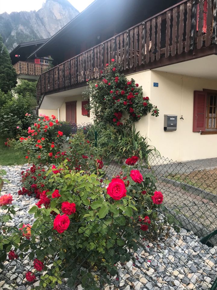 Wunderschönes Blockhaus/Haus in den Schweizer Bergen in Schwalmtal