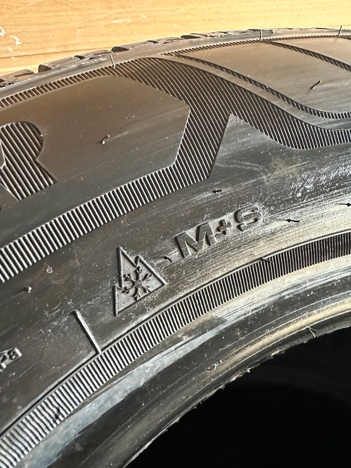 4x Ganzjahresreifen 215/65R16C 109/107T M+S Goodyear in Oschersleben (Bode)