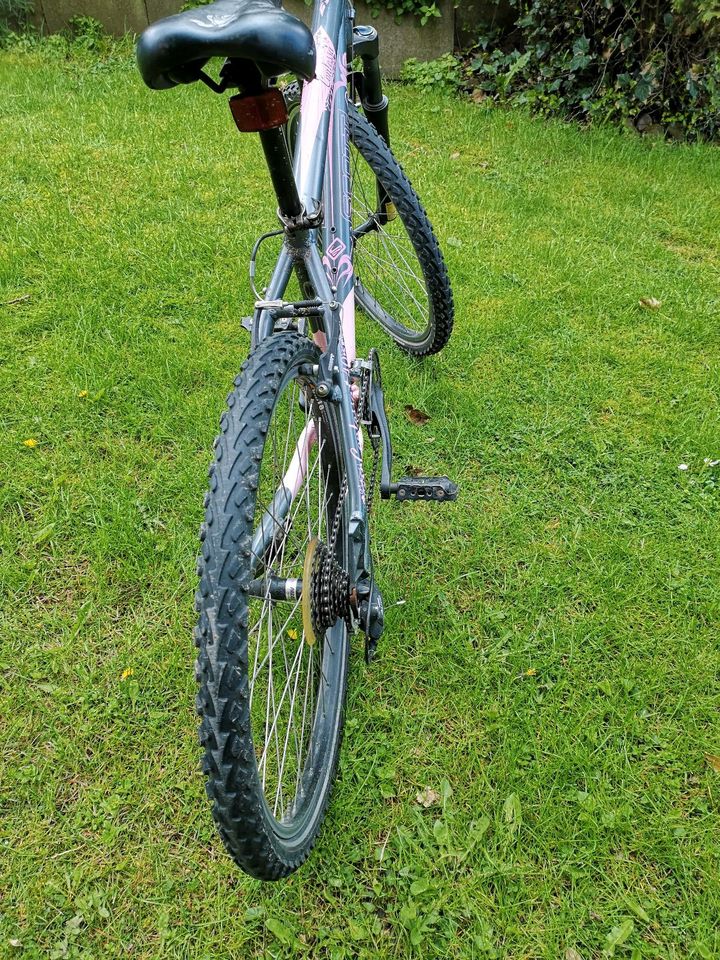 Mountain bike Scott Contessa in Rieseby