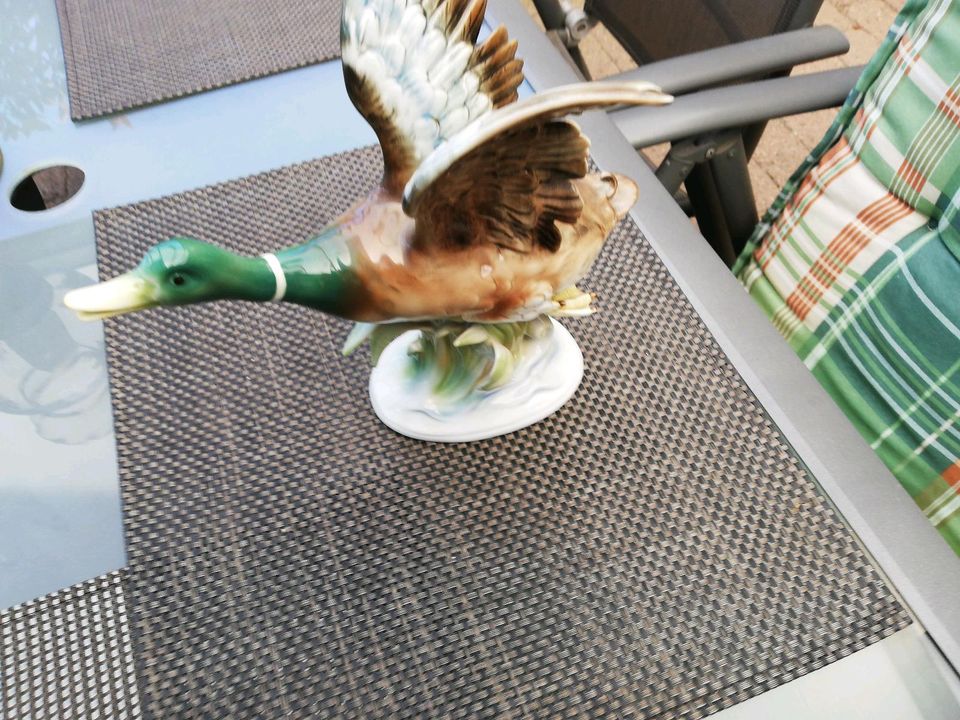 Porzellanfigur Ente in Lohne (Oldenburg)