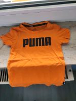 Puma t Shirt 98 Rheinland-Pfalz - Neustadt an der Weinstraße Vorschau
