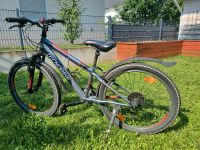 Fahrrad Mountainbike 24 Zoll Hessen - Hanau Vorschau