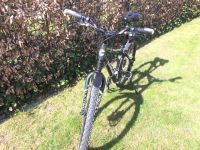 MTB Cannondale F500 Nordrhein-Westfalen - Halle (Westfalen) Vorschau