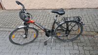 Damenfahrrad der Marke Pegasus Rheinland-Pfalz - Edenkoben Vorschau