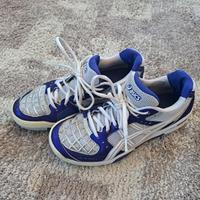Asics Gel Blade4 Gr. 39,5 Niedersachsen - Königslutter am Elm Vorschau