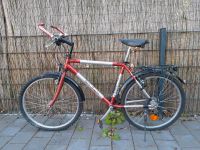 Citybike Fahrrad rot silber Baden-Württemberg - Ulm Vorschau