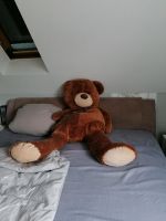 Riesen Teddybär Rostock - Lütten Klein Vorschau